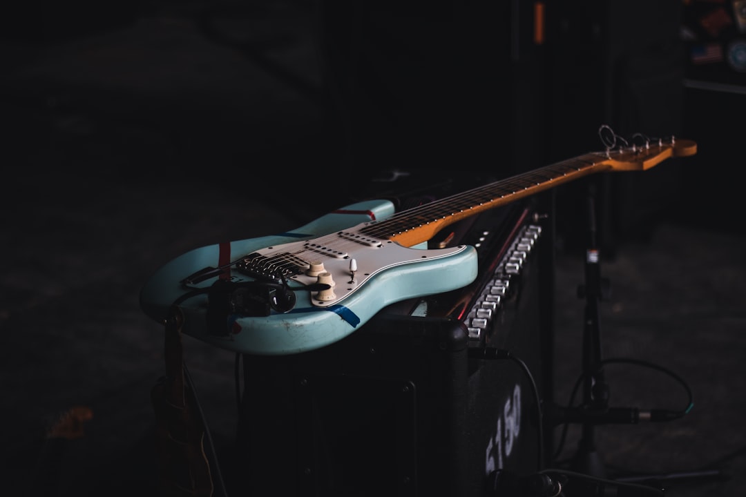 Photo Image: Musician performing